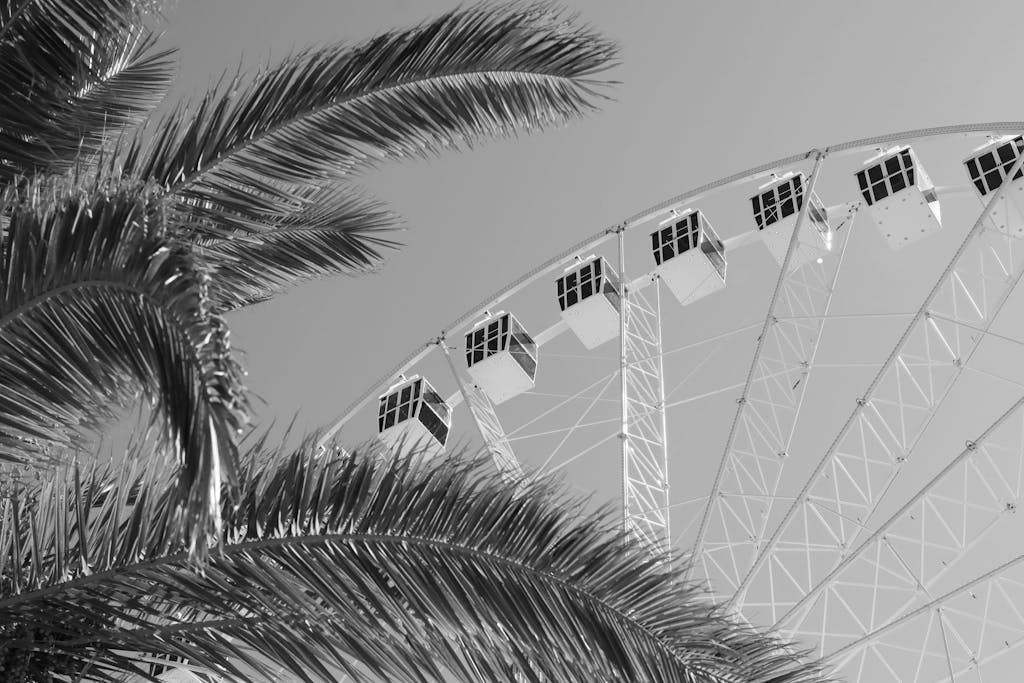EWC Near Me striking black and white photo of a Ferris wheel framed by palm trees in Alghero, Sardinia.