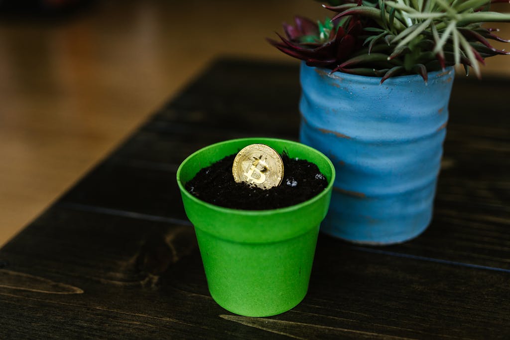 FintechAsia A Bitcoin coin embedded in soil within a green pot, symbolizing growth and investment.