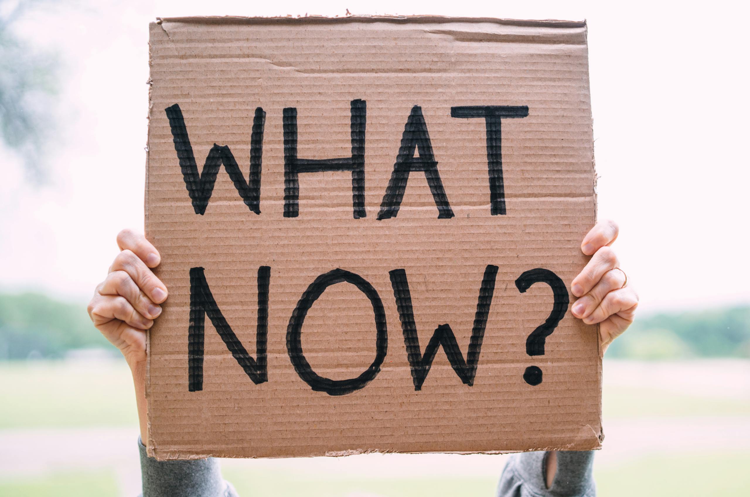 ChatPic Cardboard sign reading 'What Now?' held outdoors, conveying uncertainty or protest.