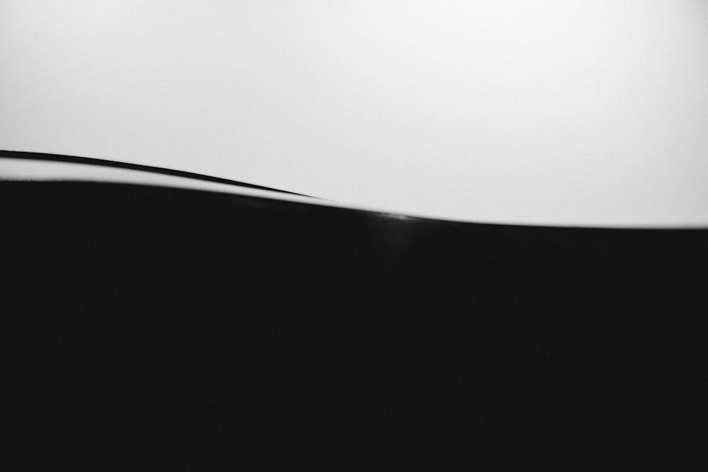 URLWO Minimalist abstract black and white image showcasing smooth wave-like forms.