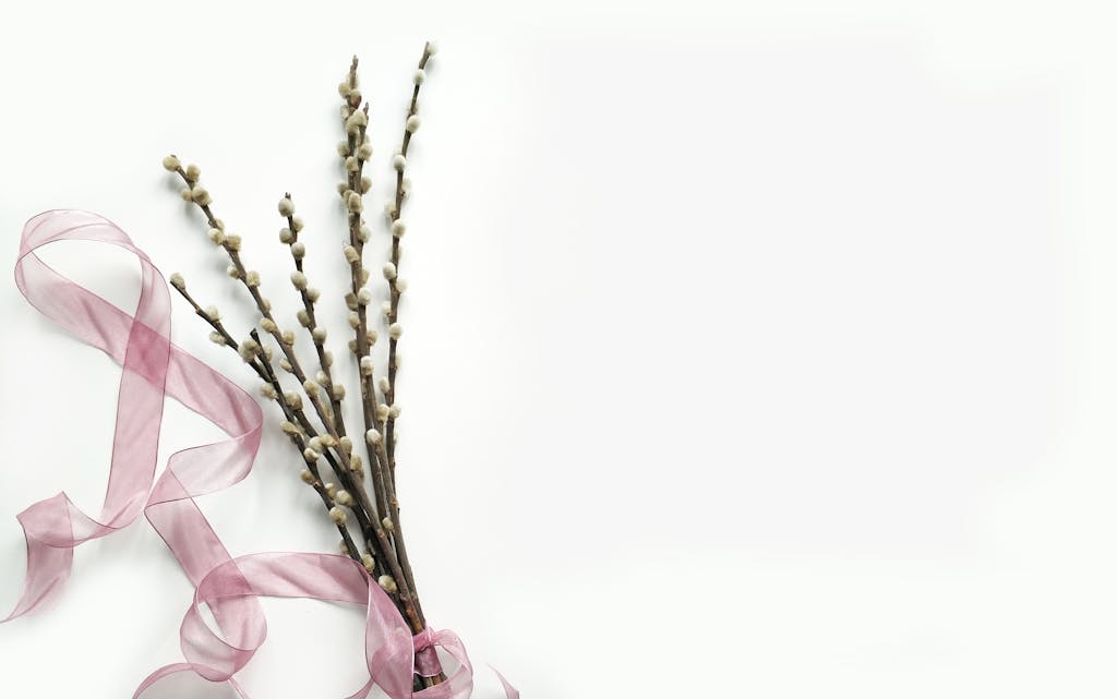 Cray0lav0mit Photograph of pussy willow branches tied with a pink ribbon on a white background.