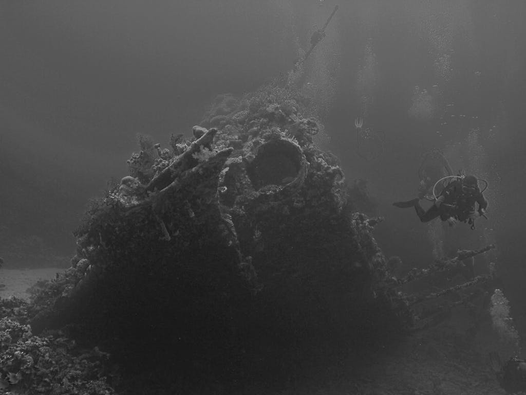 NewsTook  Scuba diver exploring an underwater shipwreck, capturing the mysteries beneath.
