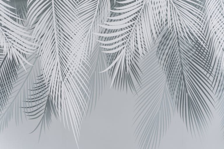 HJ54KYF Sleek gray palm leaves create a serene and minimalist wallpaper design.