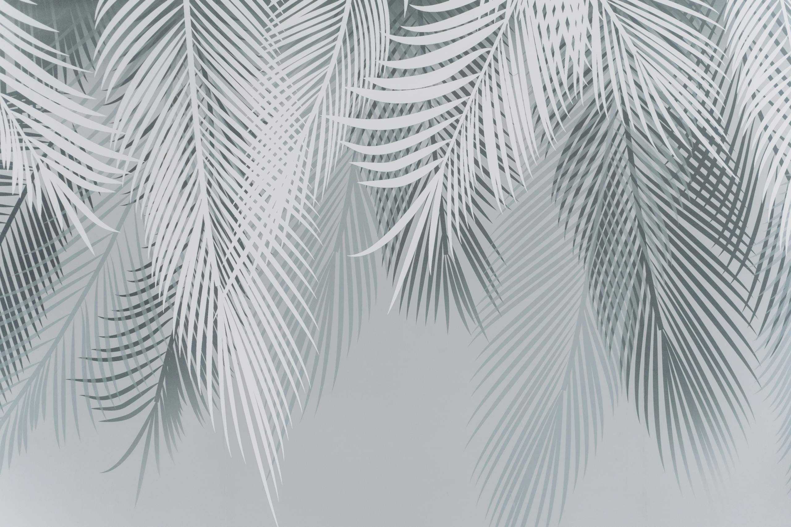 HJ54KYF Sleek gray palm leaves create a serene and minimalist wallpaper design.