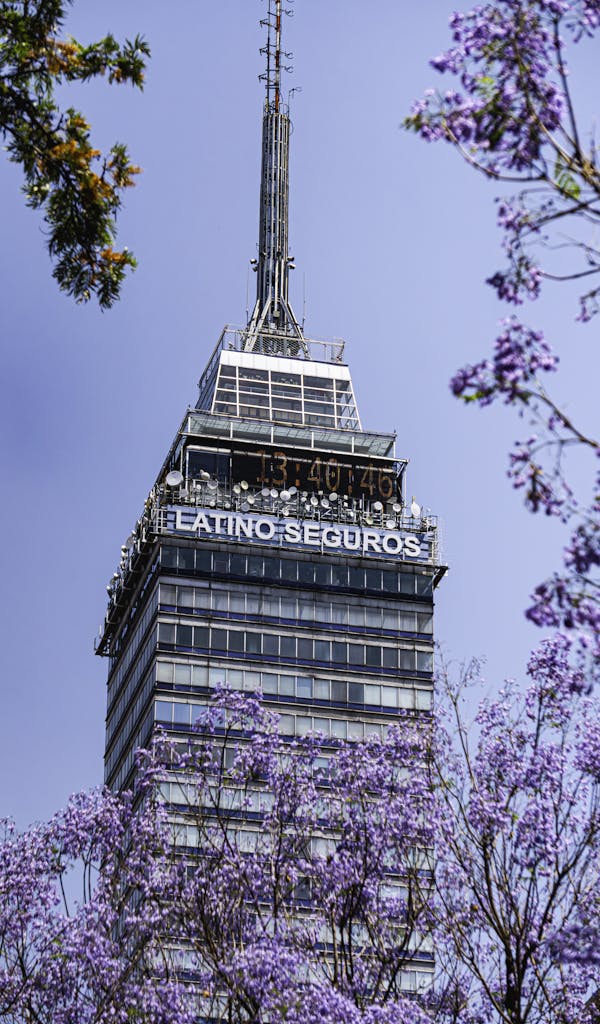 Understanding Hormita Spring view of Torre Latinoamericana with vibrant jacarandas in Mexico City.